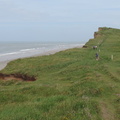 Along the coast