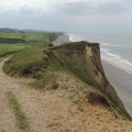 Along the coast