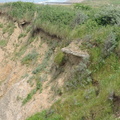 Erosion
