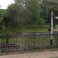 Signal garden