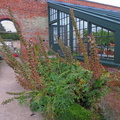 Walled garden