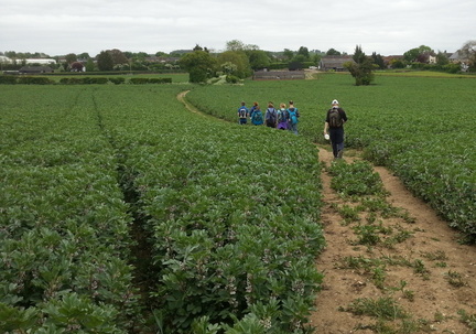 Into Baldock