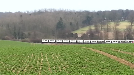 Train