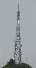 Mast