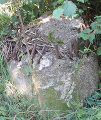 Concrete post