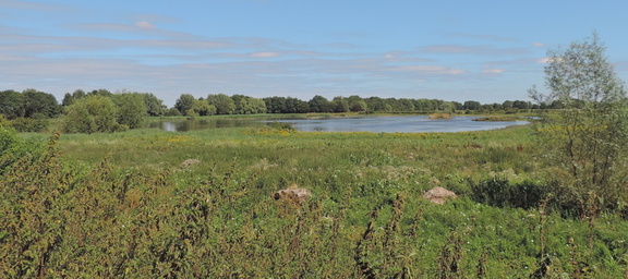 Lake