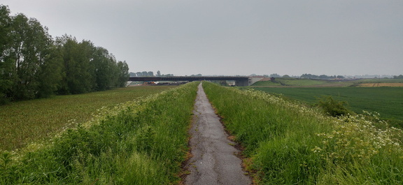 Bridge