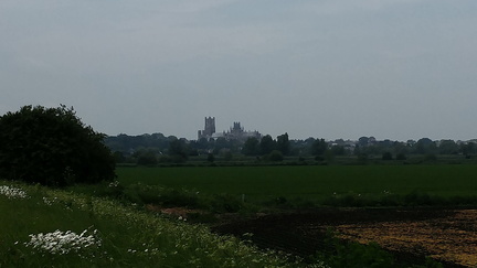 Cathedral