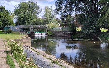 Sluice