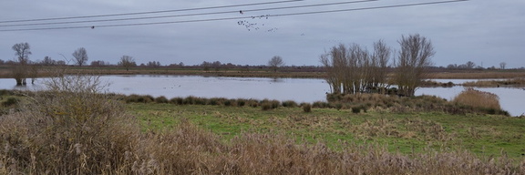 Burwell Fen