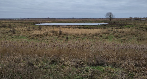 18-BurwellFen
