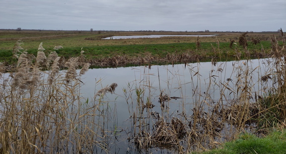 24-BurwellFenBurwellLode