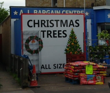 Christmas trees