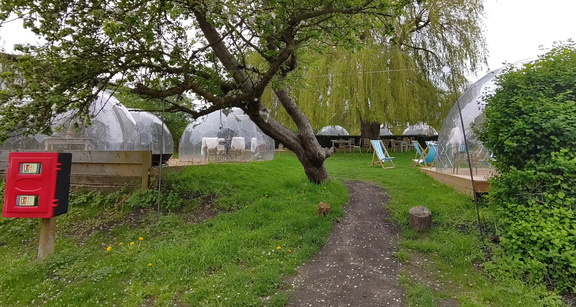 Domes