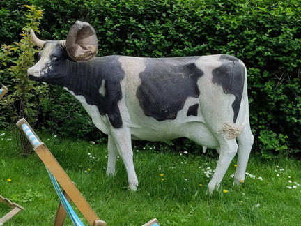 Cow