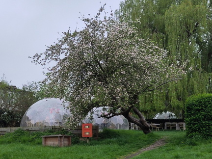 Domes