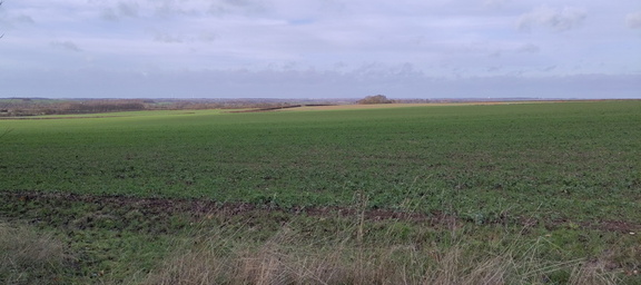 Across the fields