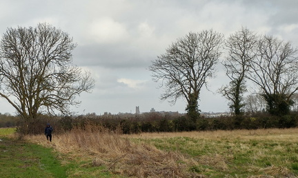 Ely