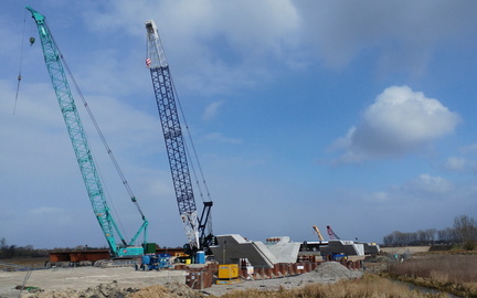 Cranes