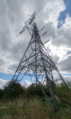 Pylon