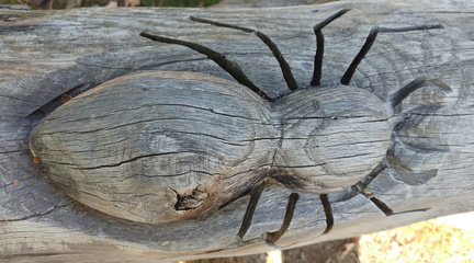 Carved spider
