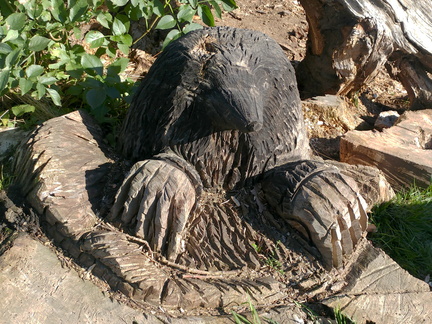 Mole