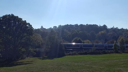 Train