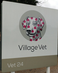 Spotty dog