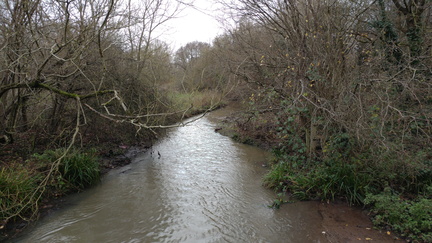 Brook