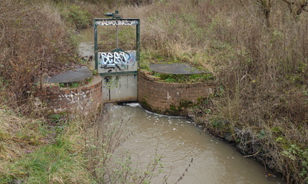 Sluice