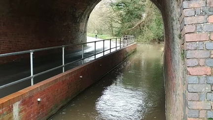 Cole Brook