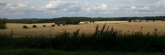 Landscape