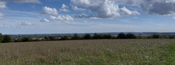 Across Cambridge
