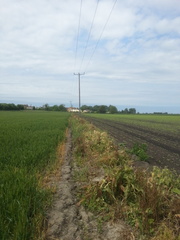 Ditch
