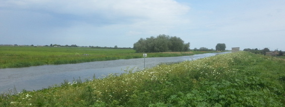 New Bedford River