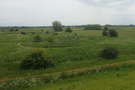 Mound