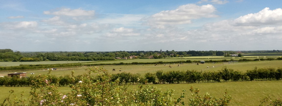 Landscape