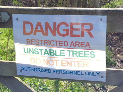 Unstable trees