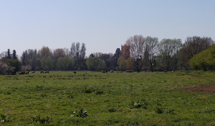Church