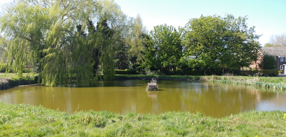 Pond