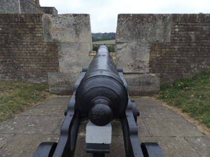 Cannon