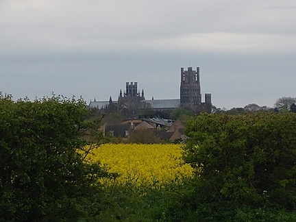 Cathedral