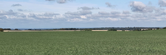 Skyline