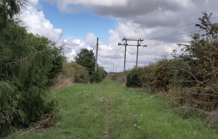 Path
