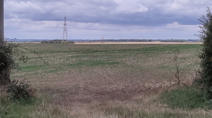 Across the field