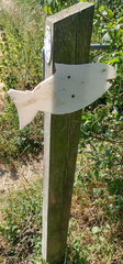 Fish sign