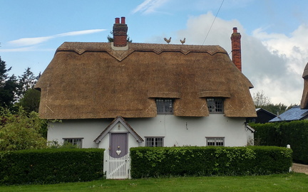 Thatched chickens