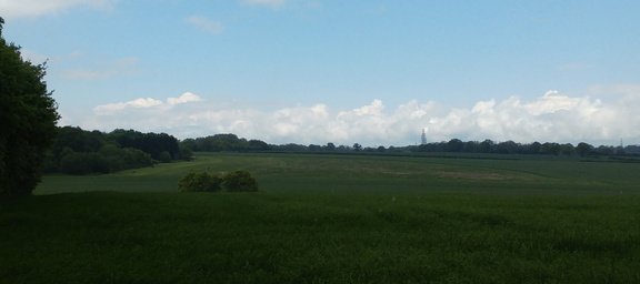 Field