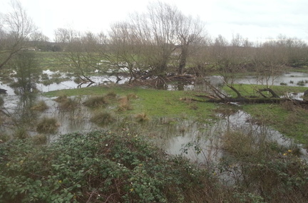 Flooding