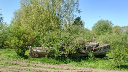 Shipwreck